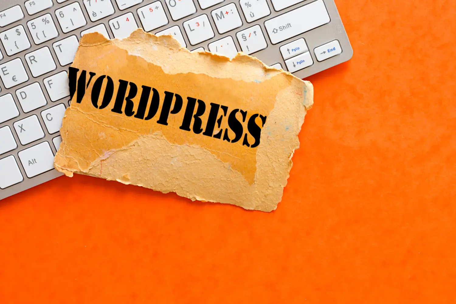 wordpress agency Web and System Development Agency in the UK
